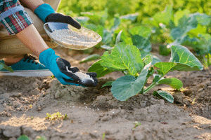 ajouter engrais potager