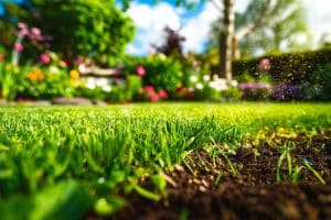 Les tâches essentielles pour votre pelouse à la fin de l'été