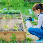 Comment protéger son potager au printemps pour éviter les maladies