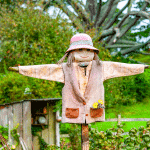 Recyclage vestimentaire