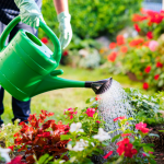 arroser jardin