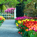 jardin