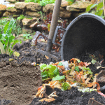 cendres de bois dans votre compost